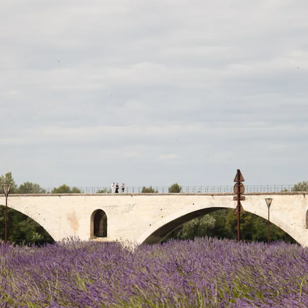 Bernard Crampon Photography - DNG 2009 06 14 Avignon_0102