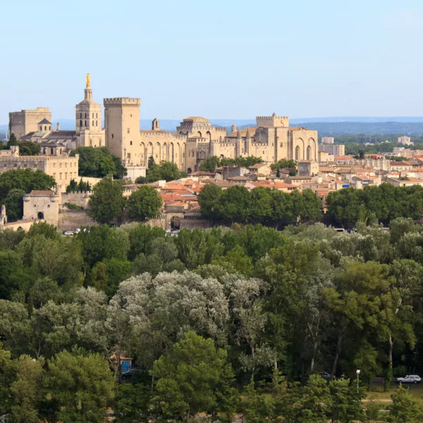 Bernard Crampon Photography - DNG 2009 06 16 Avignon_0040