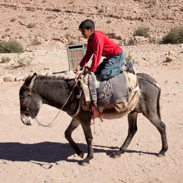 Bernard Crampon Photography - Petra