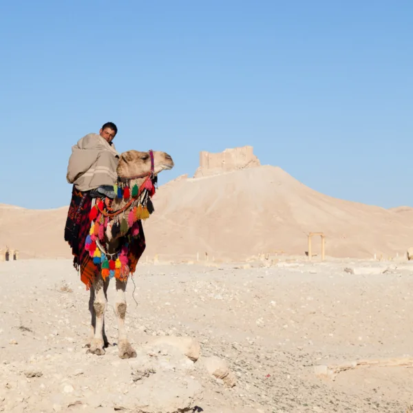 Bernard Crampon Photography - Palmyre