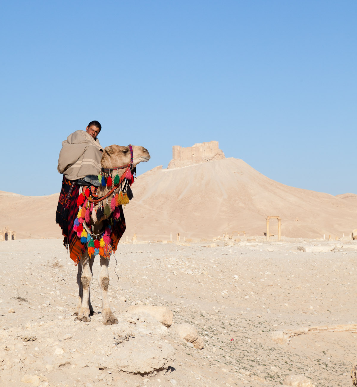 Bernard Crampon Photography - Palmyre