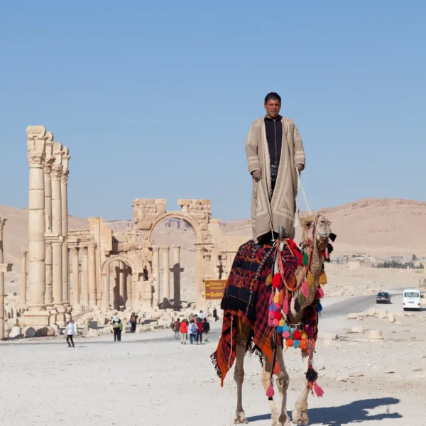 Bernard Crampon Photography - Palmyre