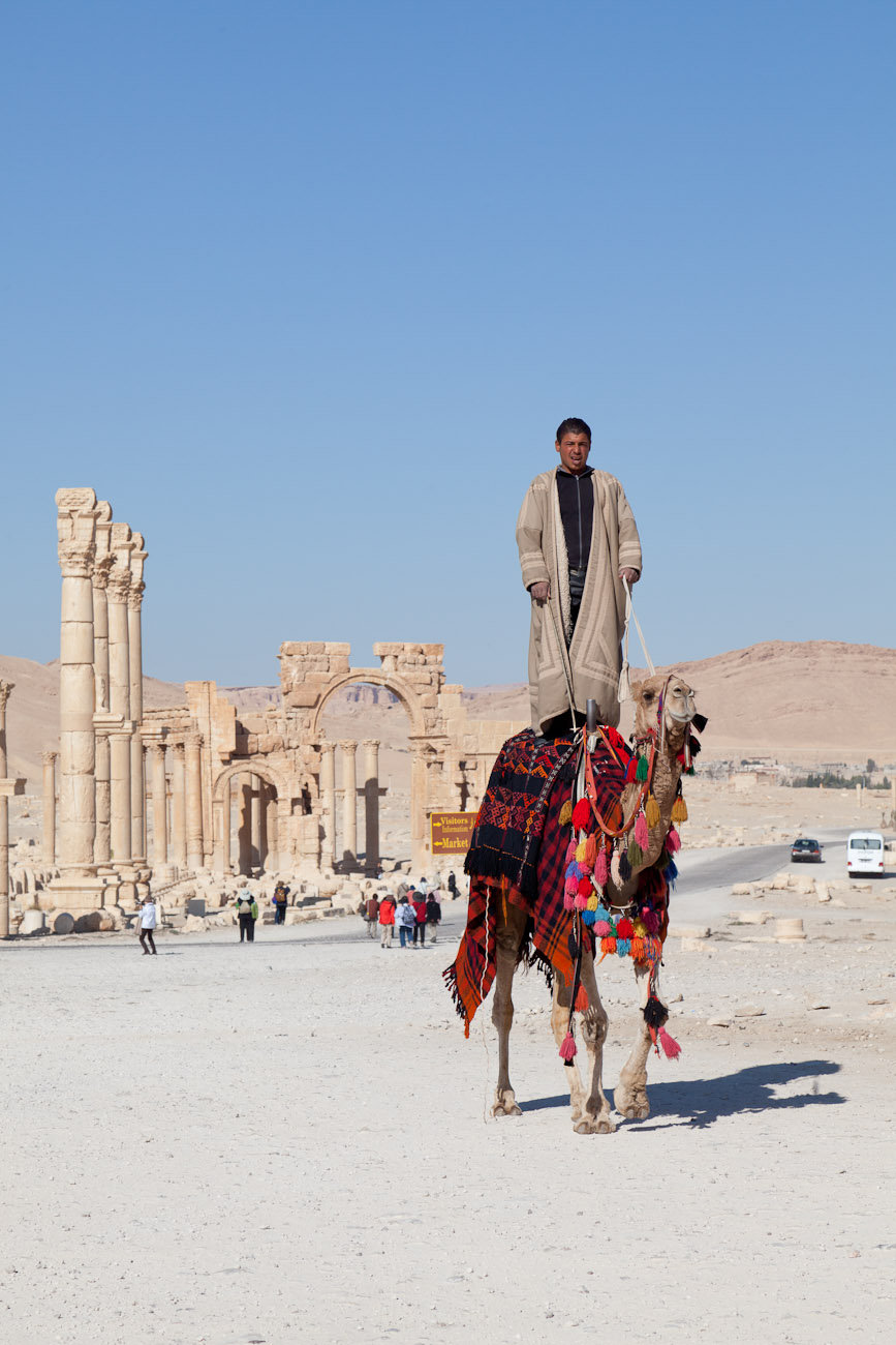 Bernard Crampon Photography - Palmyre