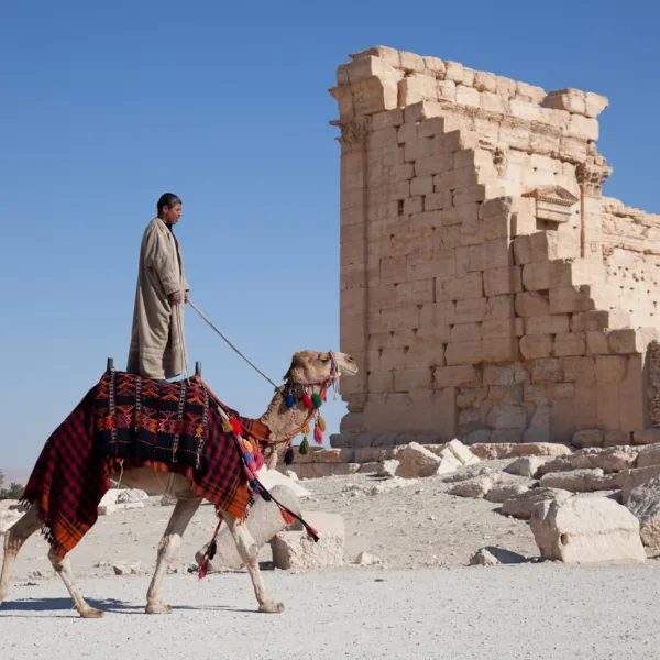 Bernard Crampon Photography - Palmyre