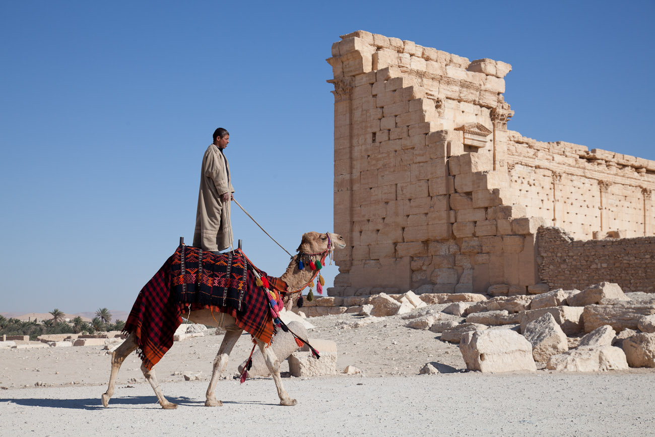 Bernard Crampon Photography - Palmyre