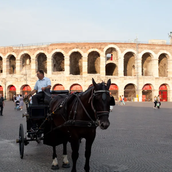 Bernard Crampon Photography - DNG 2011 06 22 Verona-01_0002