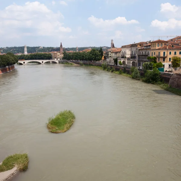 Bernard Crampon Photography - DNG 2011 06 23 Verona-02_0098