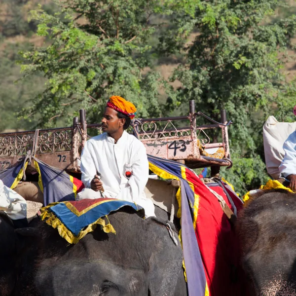 Bernard Crampon Photography - India - Rajasthan - Jaipur