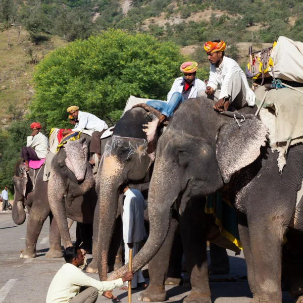 Bernard Crampon Photography - India - Rajasthan - Jaipur