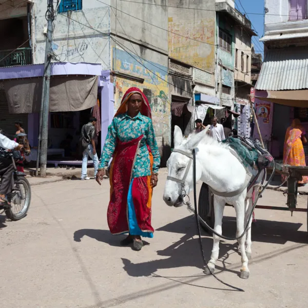 Bernard Crampon Photography - India - Rajasthan - Shekhawati - Nawalgarth