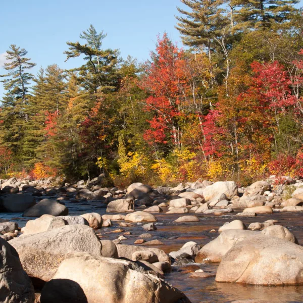 Bernard Crampon Photography - Fall Foliage 2004