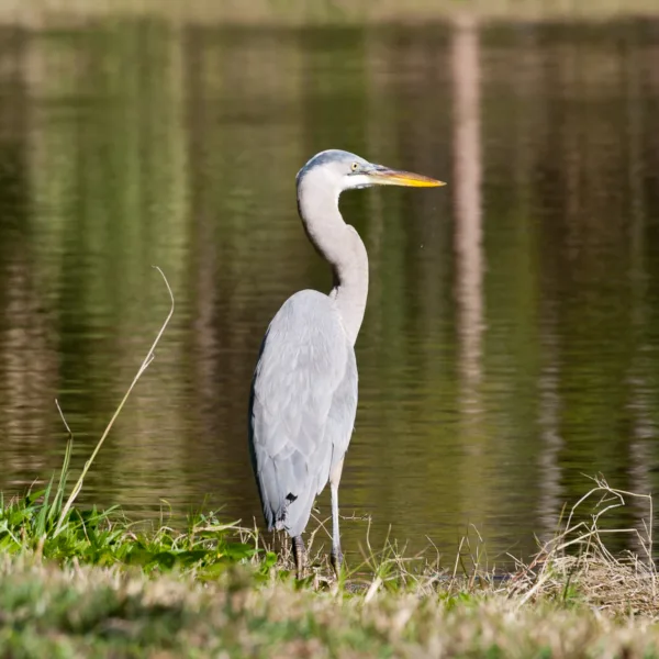 Bernard Crampon Photography - Dneg-02-18-04_0289