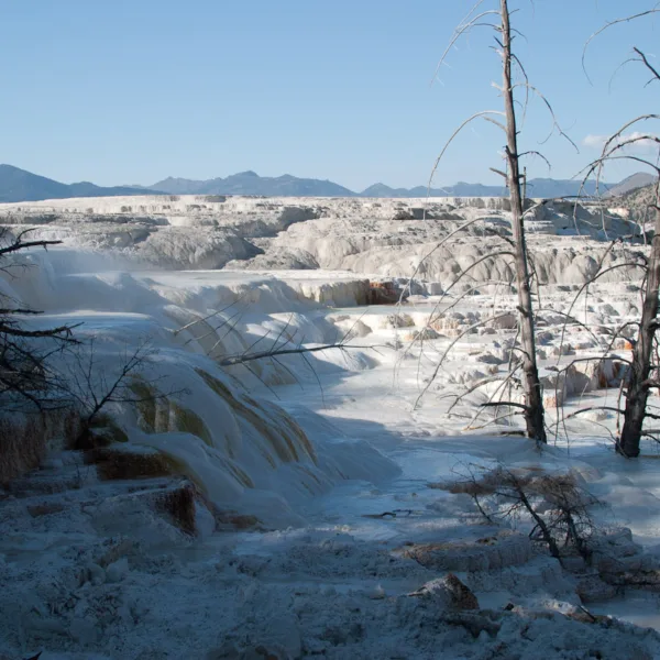 Bernard Crampon Photography - Dneg 0459