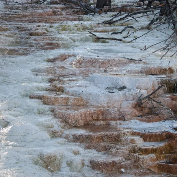 Bernard Crampon Photography - Dneg 0481