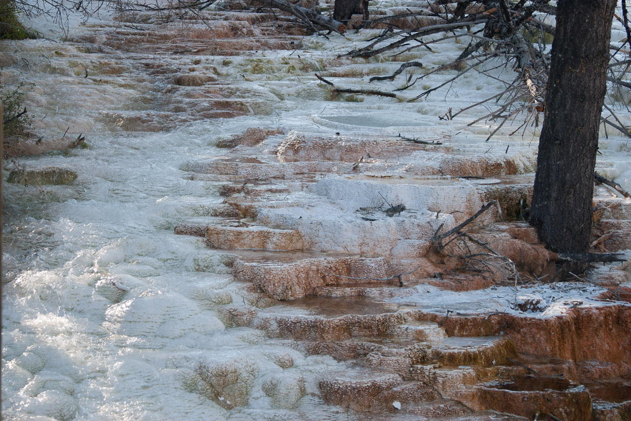 Bernard Crampon Photography - Dneg 0481